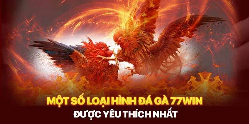 Điểm danh qua các hình thức đá gà nổi bật tại nhà cái 77win