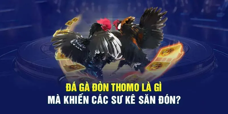 Tìm hiểu hình thức đá gà đòn thomo là gì?